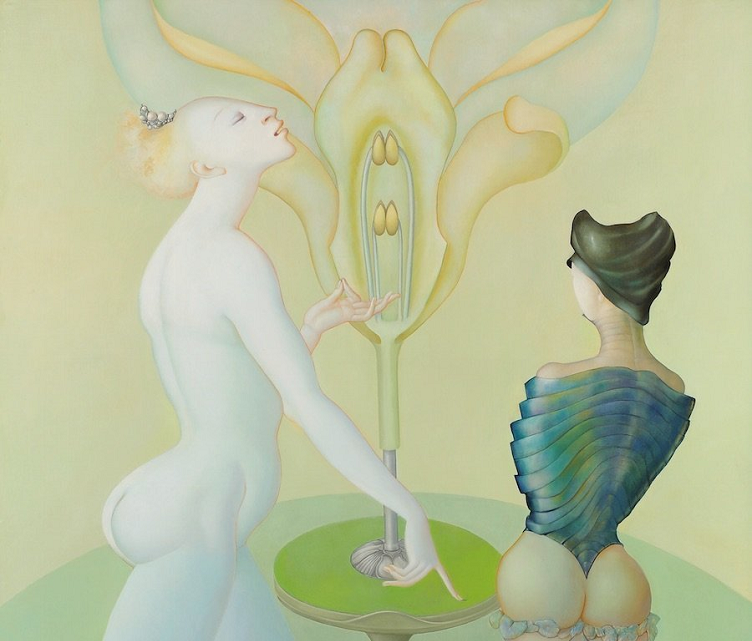 洋書 Photography and Surrealism: Sexuality, 洋書 Photography and Surrealism: Sexuality, Photography and