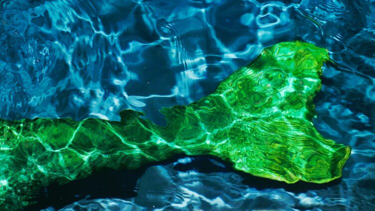 Our Mermaid Craze / Our Mermaid Craze: An Introduction – ASAP/J